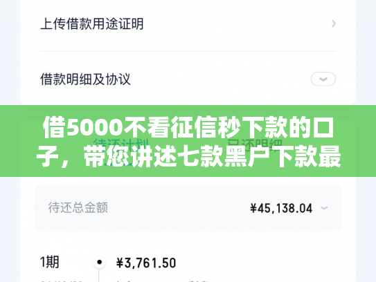 借5000不看征信秒下款的口子，带您讲述七款黑户下款最快的网贷6