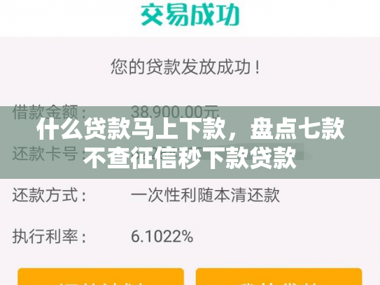 什么贷款马上下款，盘点七款不查征信秒下款贷款