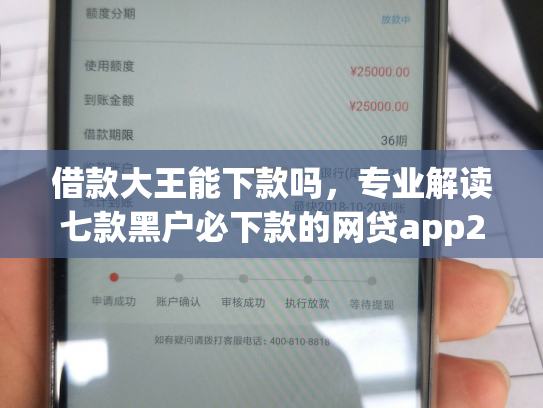 借款大王能下款吗，专业解读七款黑户必下款的网贷app2025