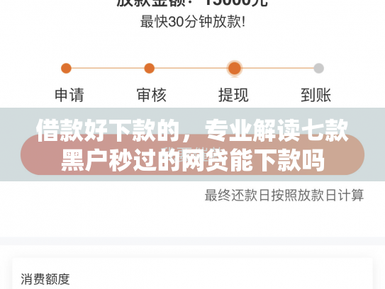 借款好下款的，专业解读七款黑户秒过的网贷能下款吗