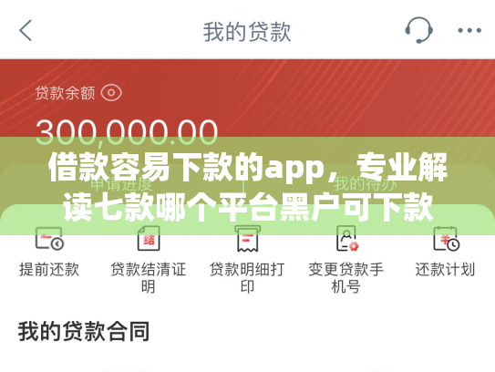 借款容易下款的app，专业解读七款哪个平台黑户可下款