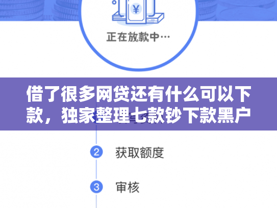 借了很多网贷还有什么可以下款，独家整理七款钞下款黑户借款平台