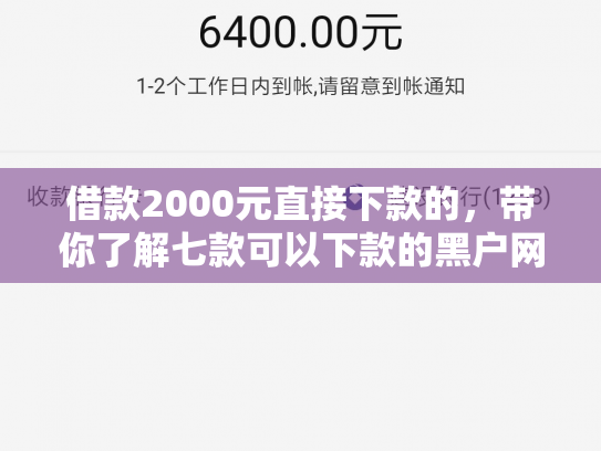 借款2000元直接下款的，带你了解七款可以下款的黑户网贷软件