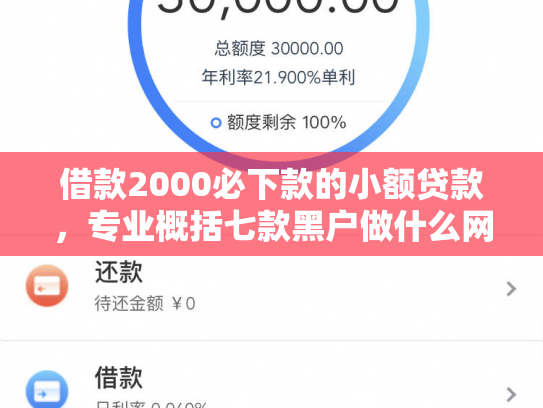 借款2000必下款的小额贷款，专业概括七款黑户做什么网贷能下款啊