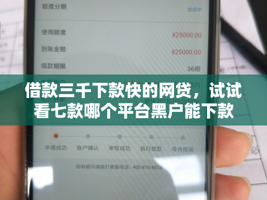 借款三千下款快的网贷，试试看七款哪个平台黑户能下款
