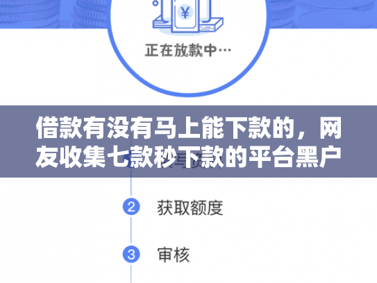 借款有没有马上能下款的，网友收集七款秒下款的平台黑户