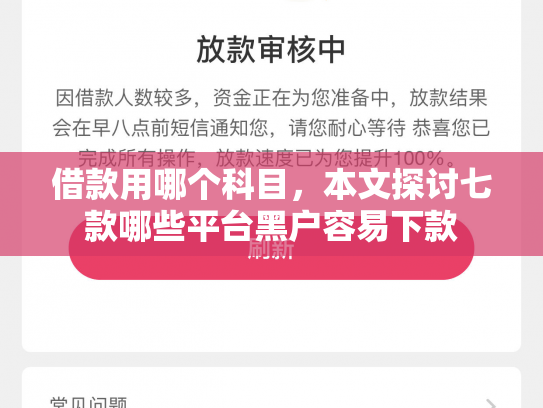 借款用哪个科目，本文探讨七款哪些平台黑户容易下款