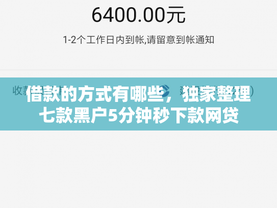 借款的方式有哪些，独家整理七款黑户5分钟秒下款网贷