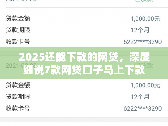2025还能下款的网贷，深度细说7款网贷口子马上下款