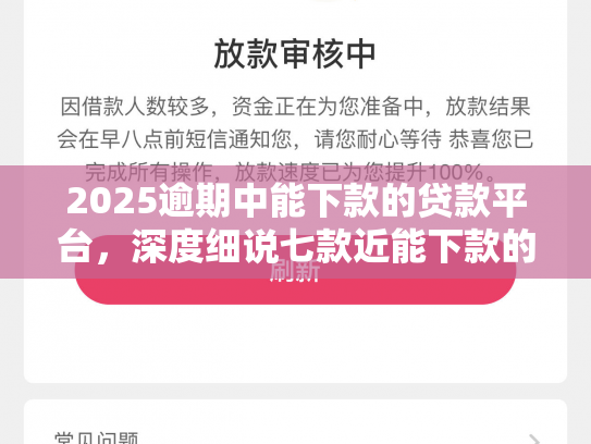 2025逾期中能下款的贷款平台，深度细说七款近能下款的网贷口子