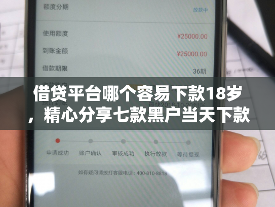 借贷平台哪个容易下款18岁，精心分享七款黑户当天下款的大额网贷