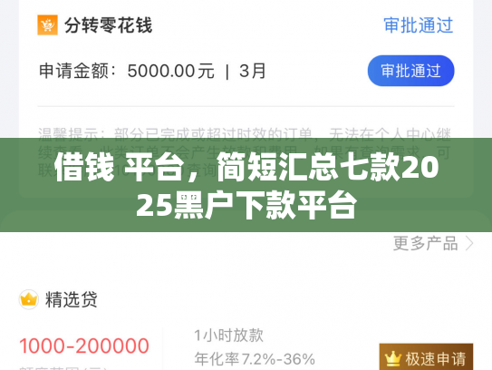 借钱 平台，简短汇总七款2025黑户下款平台