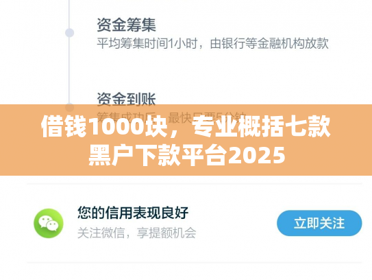 借钱1000块，专业概括七款黑户下款平台2025
