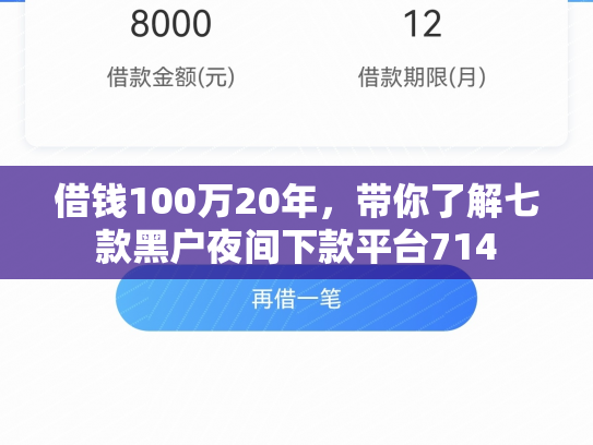 借钱100万20年，带你了解七款黑户夜间下款平台714