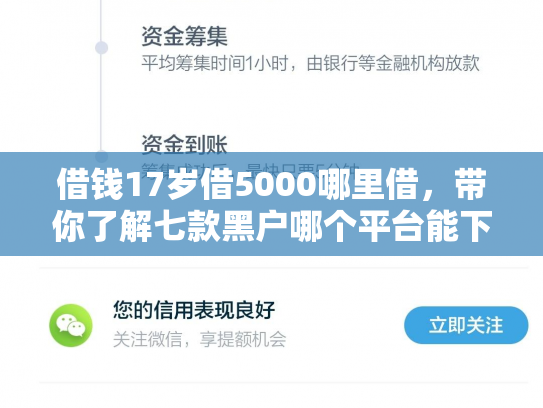 借钱17岁借5000哪里借，带你了解七款黑户哪个平台能下款