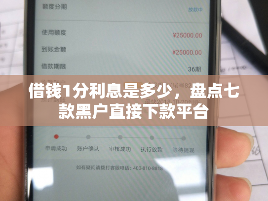 借钱1分利息是多少，盘点七款黑户直接下款平台