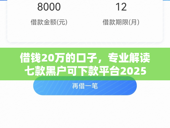 借钱20万的口子，专业解读七款黑户可下款平台2025