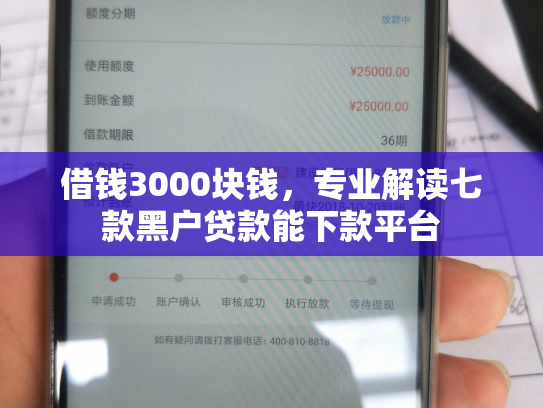 借钱3000块钱，专业解读七款黑户贷款能下款平台