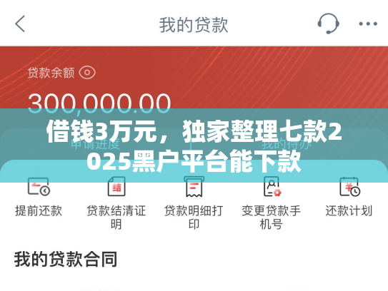 借钱3万元，独家整理七款2025黑户平台能下款