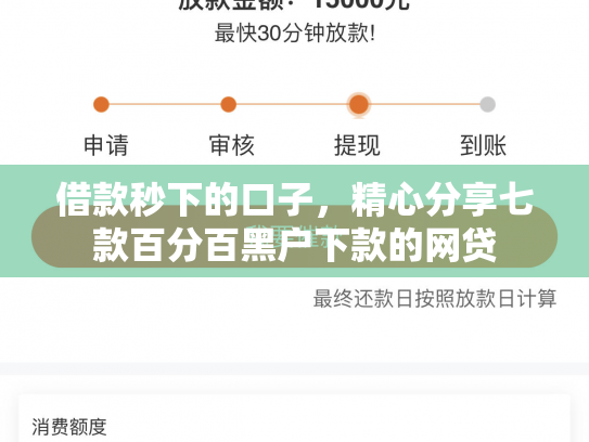 借款秒下的口子，精心分享七款百分百黑户下款的网贷