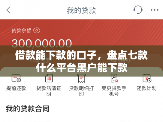 借款能下款的口子，盘点七款什么平台黑户能下款