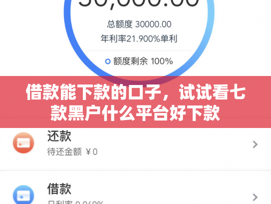 借款能下款的口子，试试看七款黑户什么平台好下款