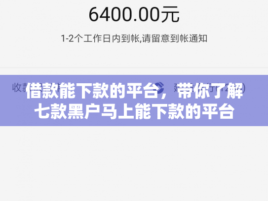 借款能下款的平台，带你了解七款黑户马上能下款的平台