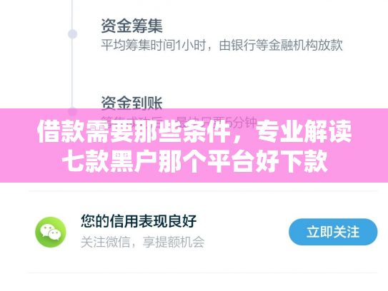 借款需要那些条件，专业解读七款黑户那个平台好下款