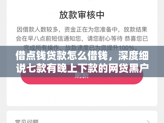 借点钱贷款怎么借钱，深度细说七款有晚上下款的网贷黑户