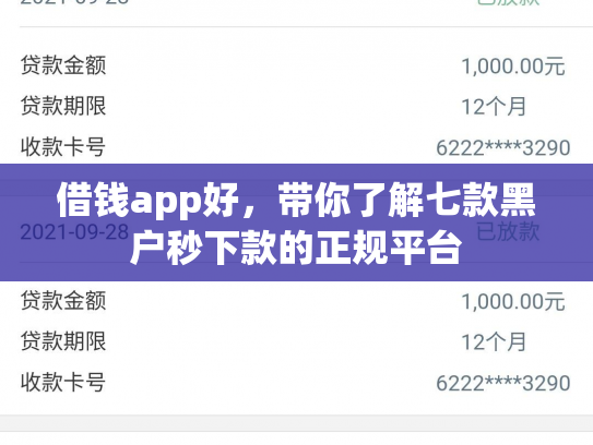 借钱app好，带你了解七款黑户秒下款的正规平台