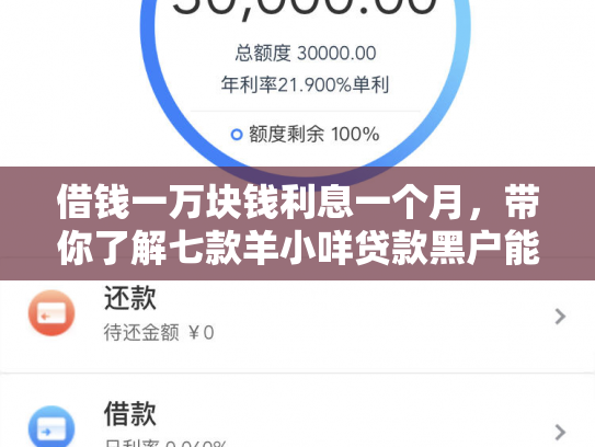 借钱一万块钱利息一个月，带你了解七款羊小咩贷款黑户能下款吗