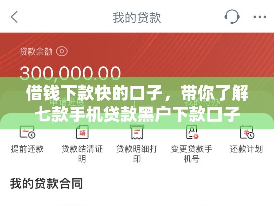 借钱下款快的口子，带你了解七款手机贷款黑户下款口子