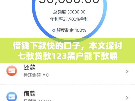 借钱下款快的口子，本文探讨七款贷款123黑户能下款嘛