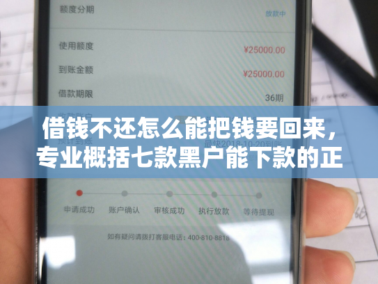 借钱不还怎么能把钱要回来，专业概括七款黑户能下款的正规平台