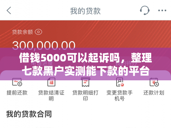 借钱5000可以起诉吗，整理七款黑户实测能下款的平台