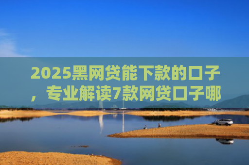 2025黑网贷能下款的口子，专业解读7款网贷口子哪些好下款