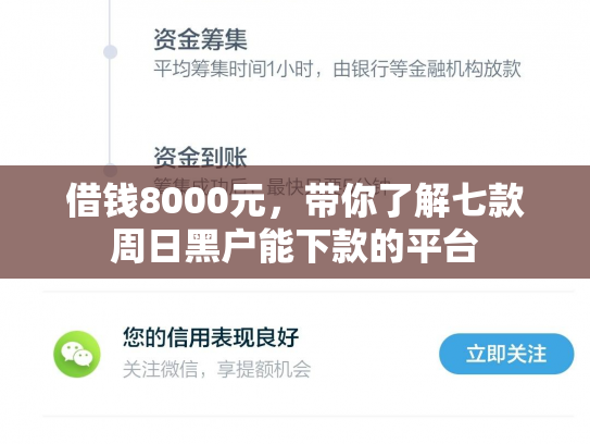 借钱8000元，带你了解七款周日黑户能下款的平台