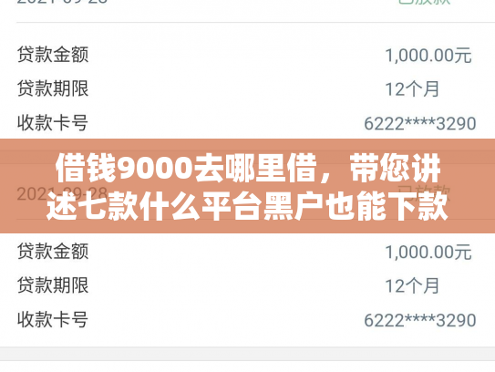 借钱9000去哪里借，带您讲述七款什么平台黑户也能下款