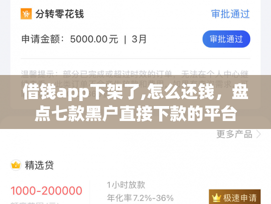 借钱app下架了,怎么还钱，盘点七款黑户直接下款的平台