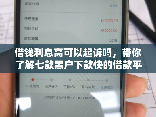 借钱利息高可以起诉吗，带你了解七款黑户下款快的借款平台