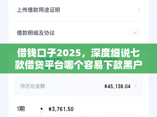 借钱口子2025，深度细说七款借贷平台哪个容易下款黑户的