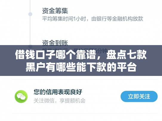 借钱口子哪个靠谱，盘点七款黑户有哪些能下款的平台