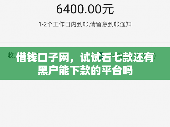 借钱口子网，试试看七款还有黑户能下款的平台吗