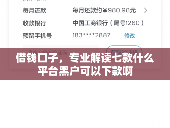 借钱口子，专业解读七款什么平台黑户可以下款啊
