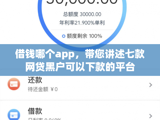借钱哪个app，带您讲述七款网贷黑户可以下款的平台