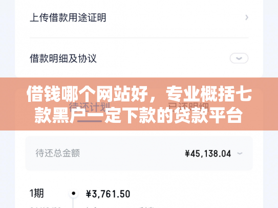 借钱哪个网站好，专业概括七款黑户一定下款的贷款平台