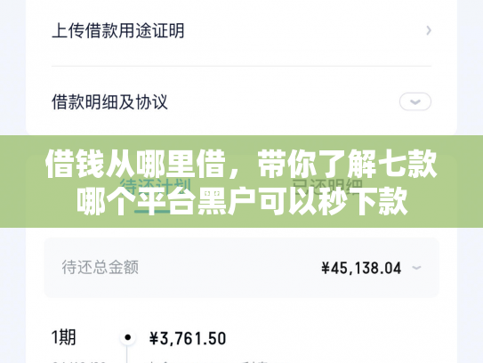 借钱从哪里借，带你了解七款哪个平台黑户可以秒下款