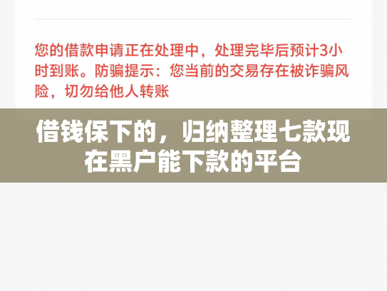 借钱保下的，归纳整理七款现在黑户能下款的平台