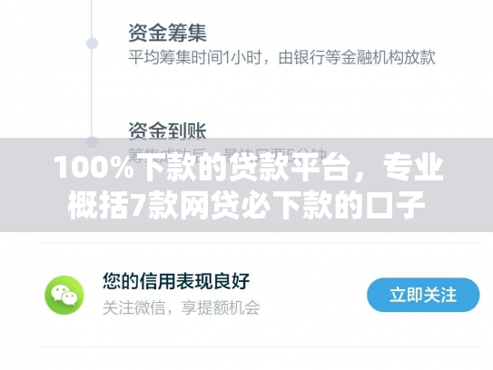100%下款的贷款平台，专业概括7款网贷必下款的口子