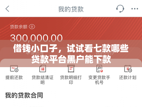 借钱小口子，试试看七款哪些贷款平台黑户能下款
